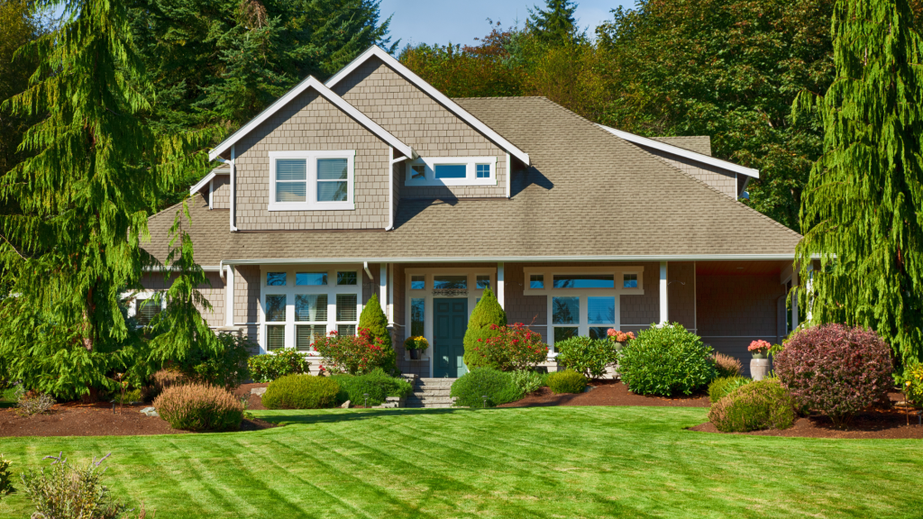 Tree Care Tips For Homeowners - Kilmurry Tree Service