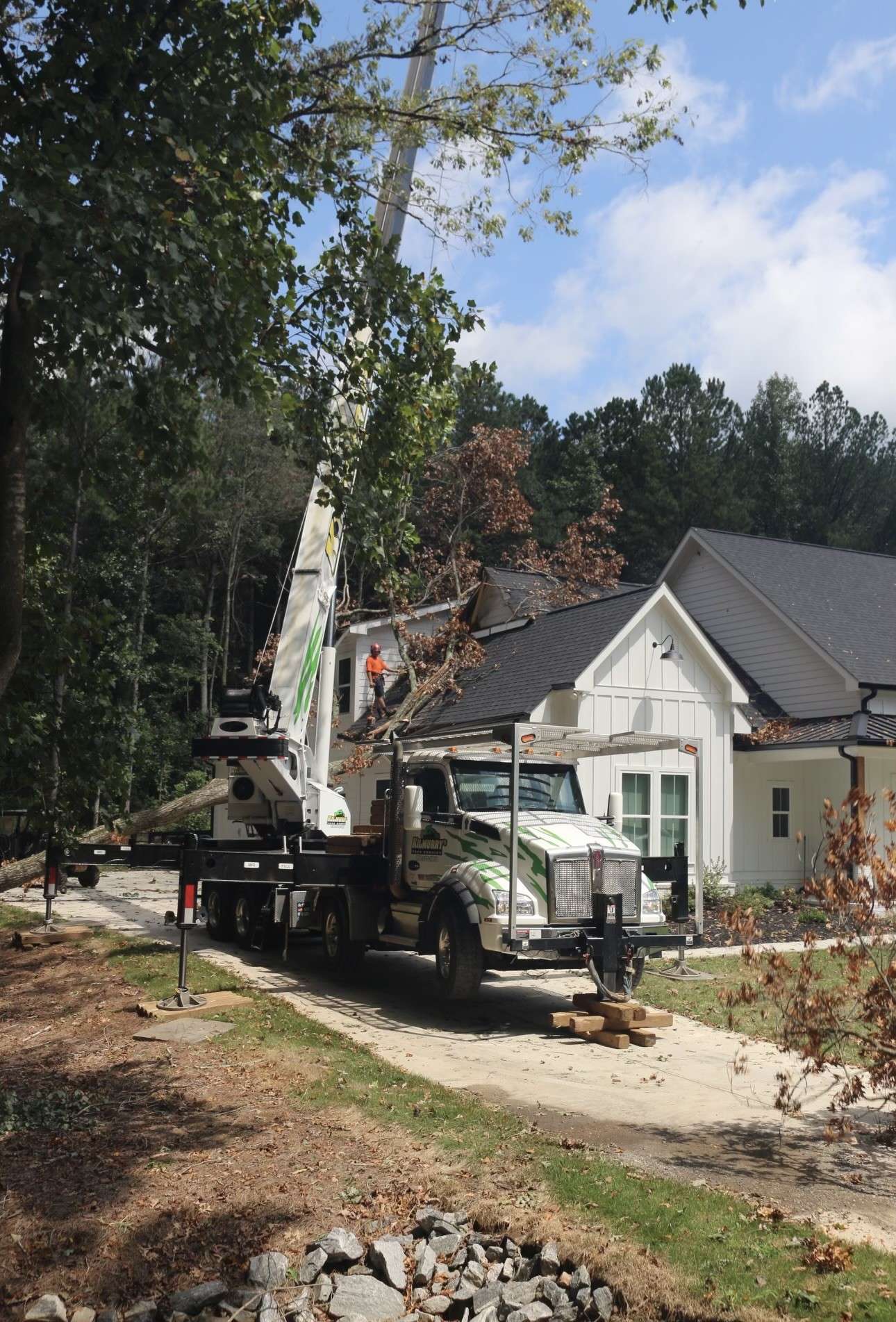 Portfolio - Kilmurry Tree Service